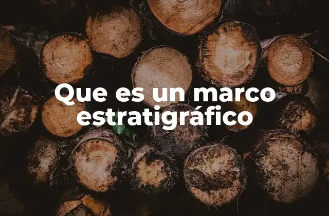 Que es un Marco Estratigráfico