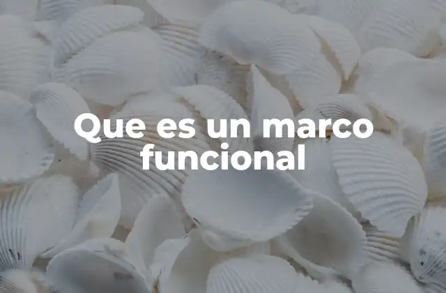 Que es un Marco Funcional