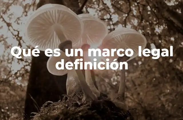 Qué es un Marco Legal Definición