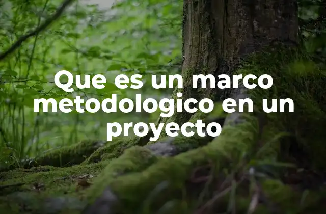 Que es un Marco Metodologico en un Proyecto