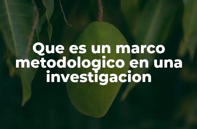 Que es un Marco Metodologico en una Investigacion