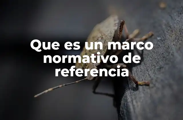 Que es un Marco Normativo de Referencia 2 La importancia del marco normativo en la gobernanza institucional