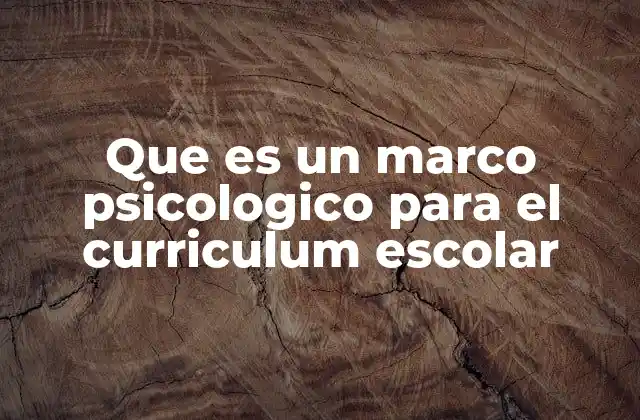 Que es un Marco Psicologico para el Curriculum Escolar