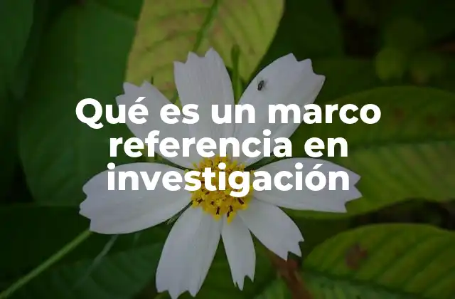 Qué es un Marco Referencia en Investigación