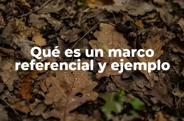 Qué es un Marco Referencial y Ejemplo