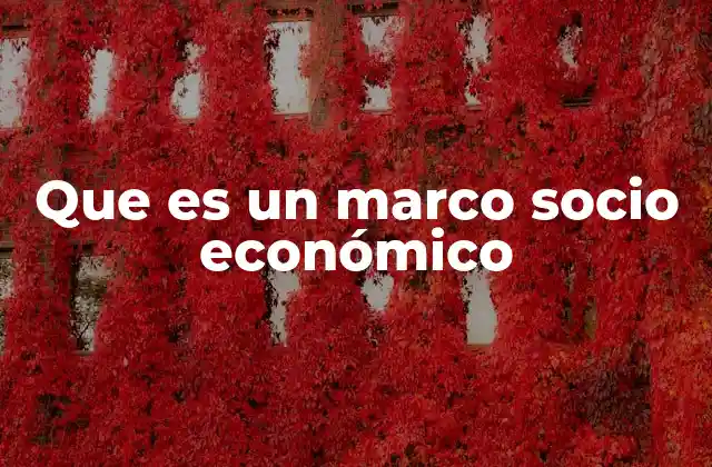 Que es un Marco Socio Económico