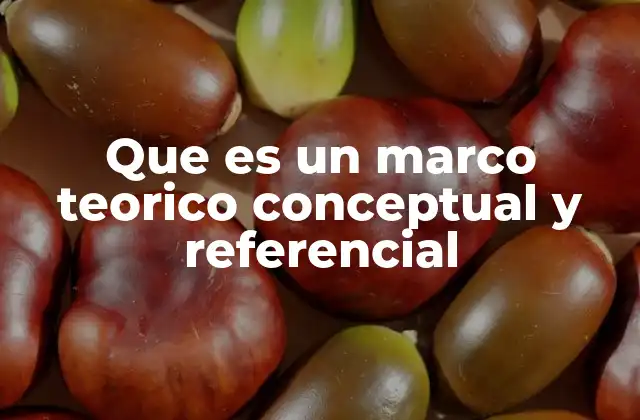Que es un Marco Teorico Conceptual y Referencial
