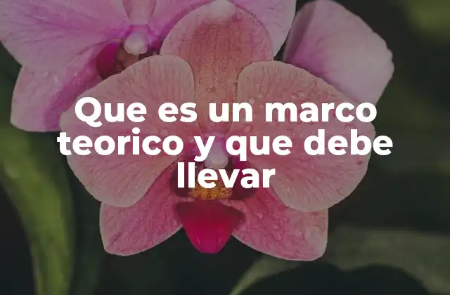 Que es un Marco Teorico y que Debe Llevar