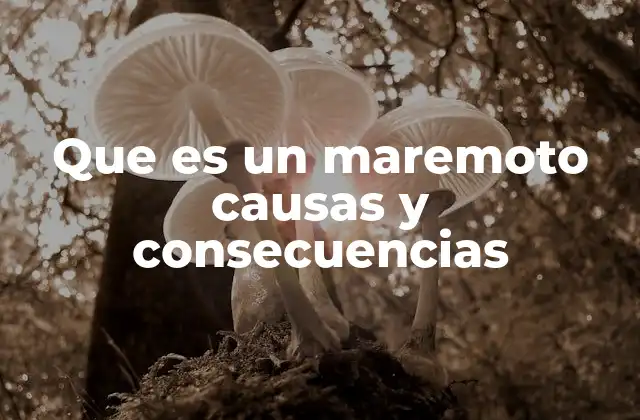 Fenómenos naturales que generan ondas gigantes en el océano