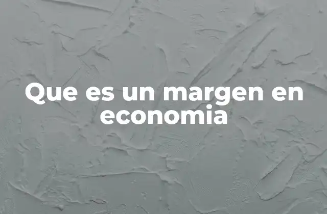 Que es un Margen en Economia