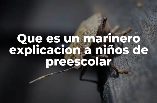 Que es un Marinero Explicacion a Niños de Preescolar