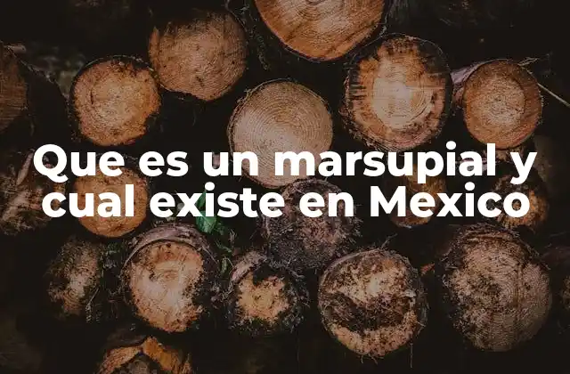 Que es un Marsupial y Cual Existe en Mexico