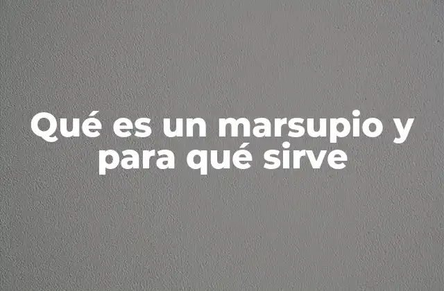 Qué es un Marsupio y para Qué Sirve