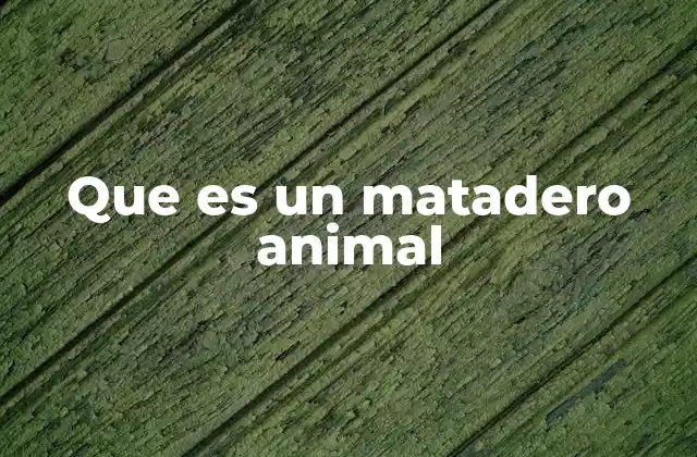 Que es un Matadero Animal