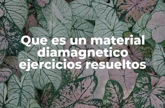 Que es un Material Diamagnetico Ejercicios Resueltos