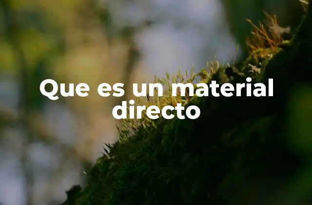 Que es un Material Directo