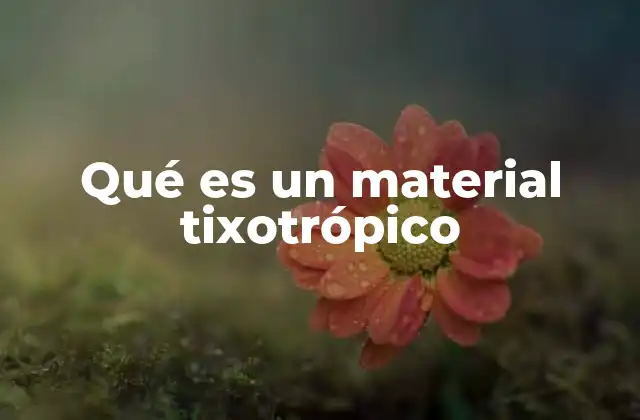 Comportamiento reológico de los materiales tixotrópicos