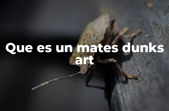 Que es un Mates Dunks Art