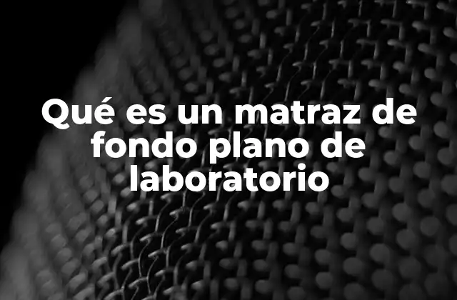 Qué es un Matraz de Fondo Plano de Laboratorio