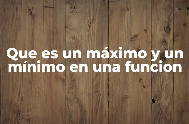 Que es un Máximo y un Mínimo en una Funcion