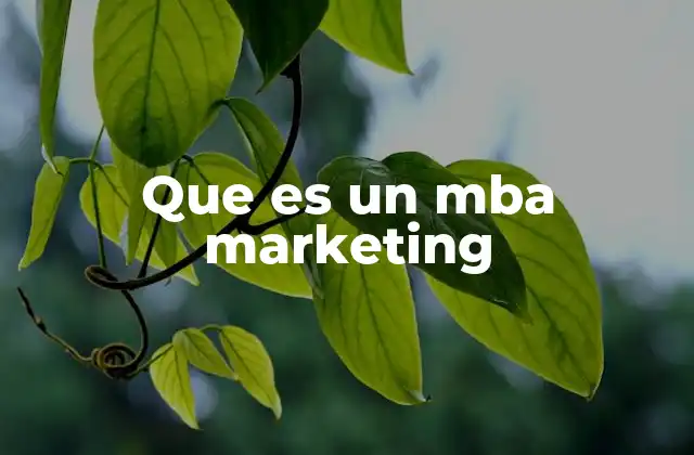 Que es un Mba Marketing