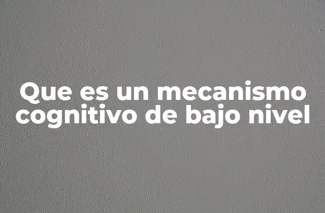 Que es un Mecanismo Cognitivo de bajo Nivel