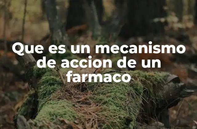 Que es un Mecanismo de Accion de un Farmaco