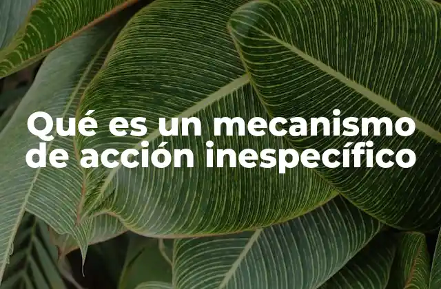Qué es un Mecanismo de Acción Inespecífico