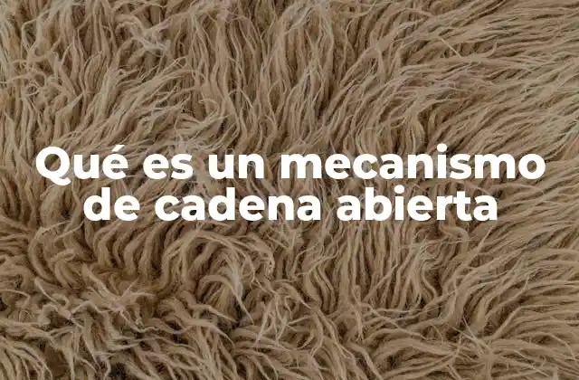 Qué es un Mecanismo de Cadena Abierta