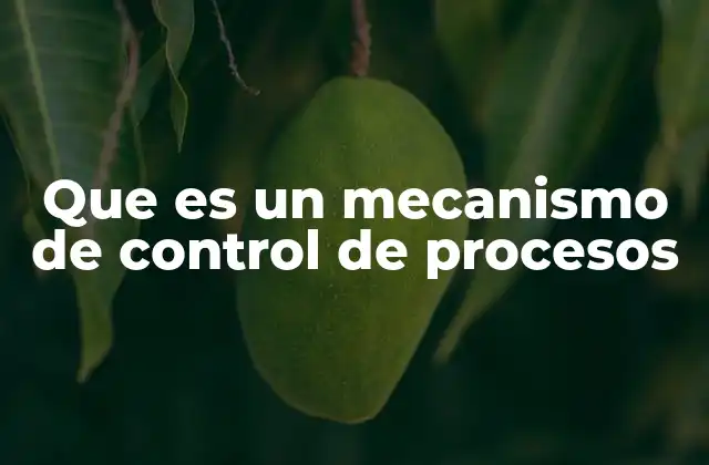 Cómo los mecanismos de control aseguran la eficiencia operativa