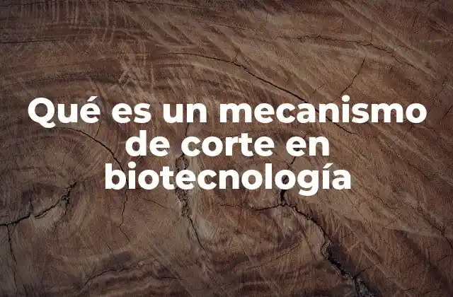 Qué es un Mecanismo de Corte en Biotecnología