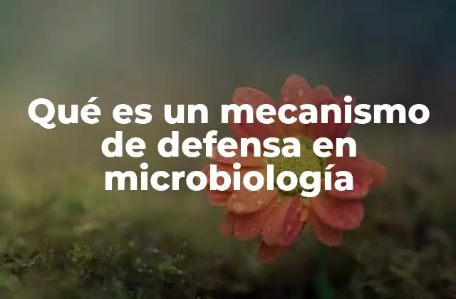 Qué es un Mecanismo de Defensa en Microbiología