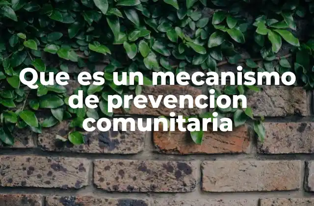 Cómo se estructura la prevención comunitaria en el tejido social