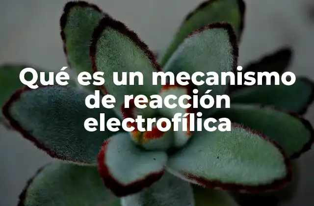Qué es un Mecanismo de Reacción Electrofílica