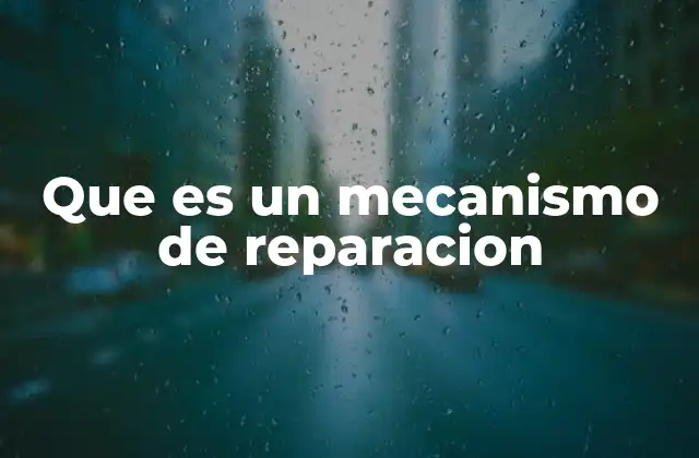 Que es un Mecanismo de Reparacion