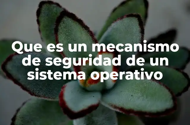 Que es un Mecanismo de Seguridad de un Sistema Operativo