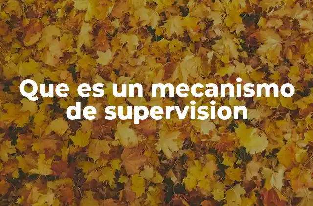 Que es un Mecanismo de Supervision