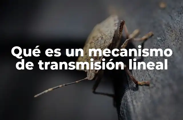 Qué es un Mecanismo de Transmisión Lineal
