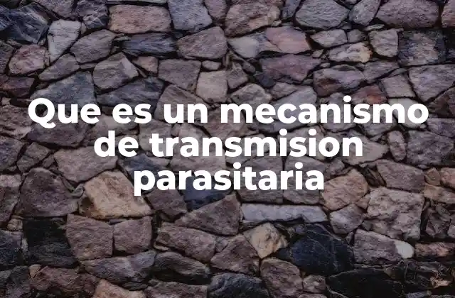 Que es un Mecanismo de Transmision Parasitaria