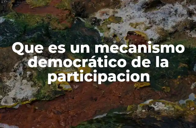 Que es un Mecanismo Democrático de la Participacion