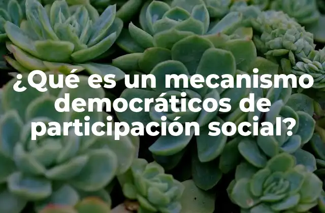 ¿qué es un Mecanismo Democráticos de Participación Social?