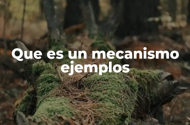 Que es un Mecanismo Ejemplos