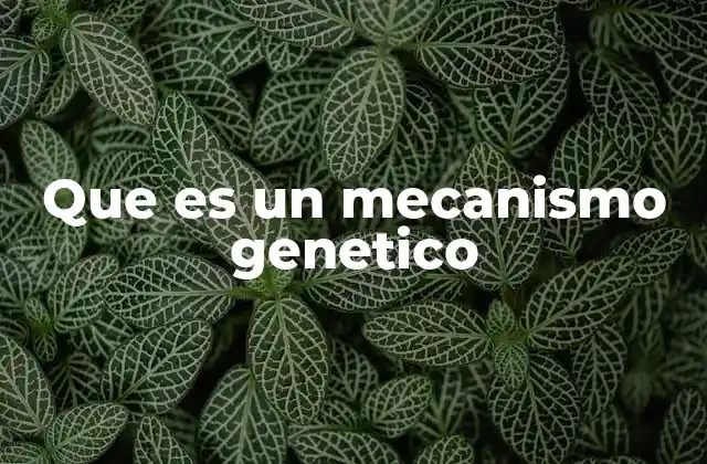 Que es un Mecanismo Genetico