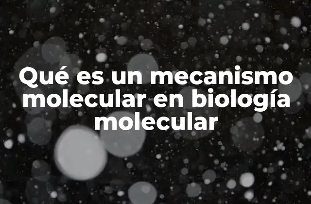 Qué es un Mecanismo Molecular en Biología Molecular