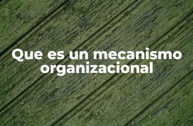 Que es un Mecanismo Organizacional