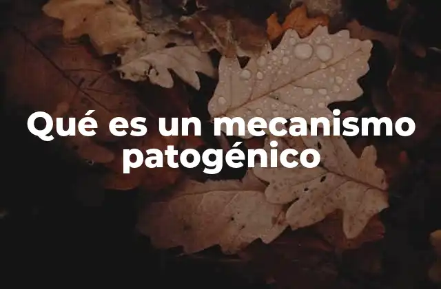 Qué es un Mecanismo Patogénico
