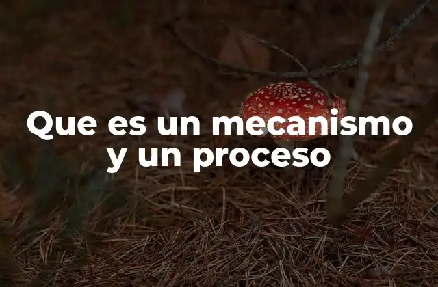 Que es un Mecanismo y un Proceso