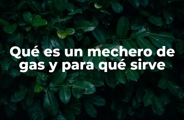 Qué es un Mechero de Gas y para Qué Sirve