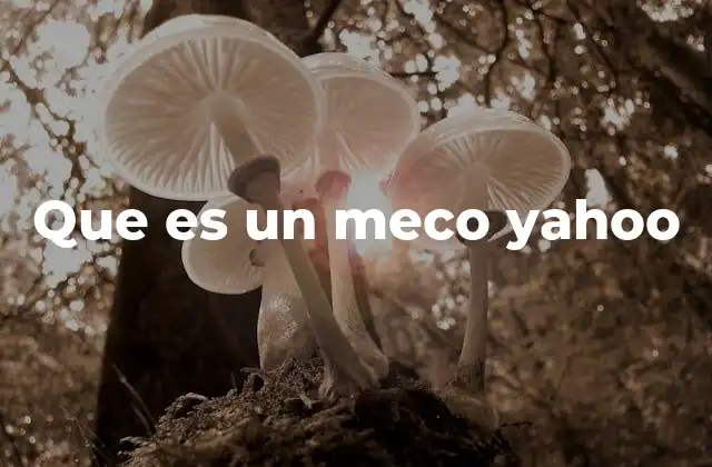 Que es un Meco Yahoo