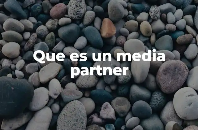 Que es un Media Partner